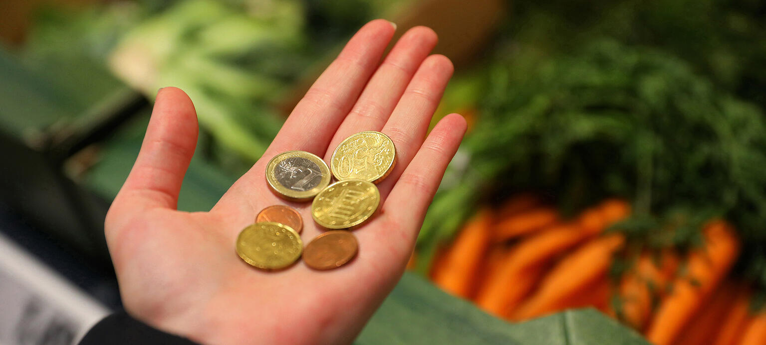 Symbolbild: Auf einer Hand liegen Euro-Geldmünzen.