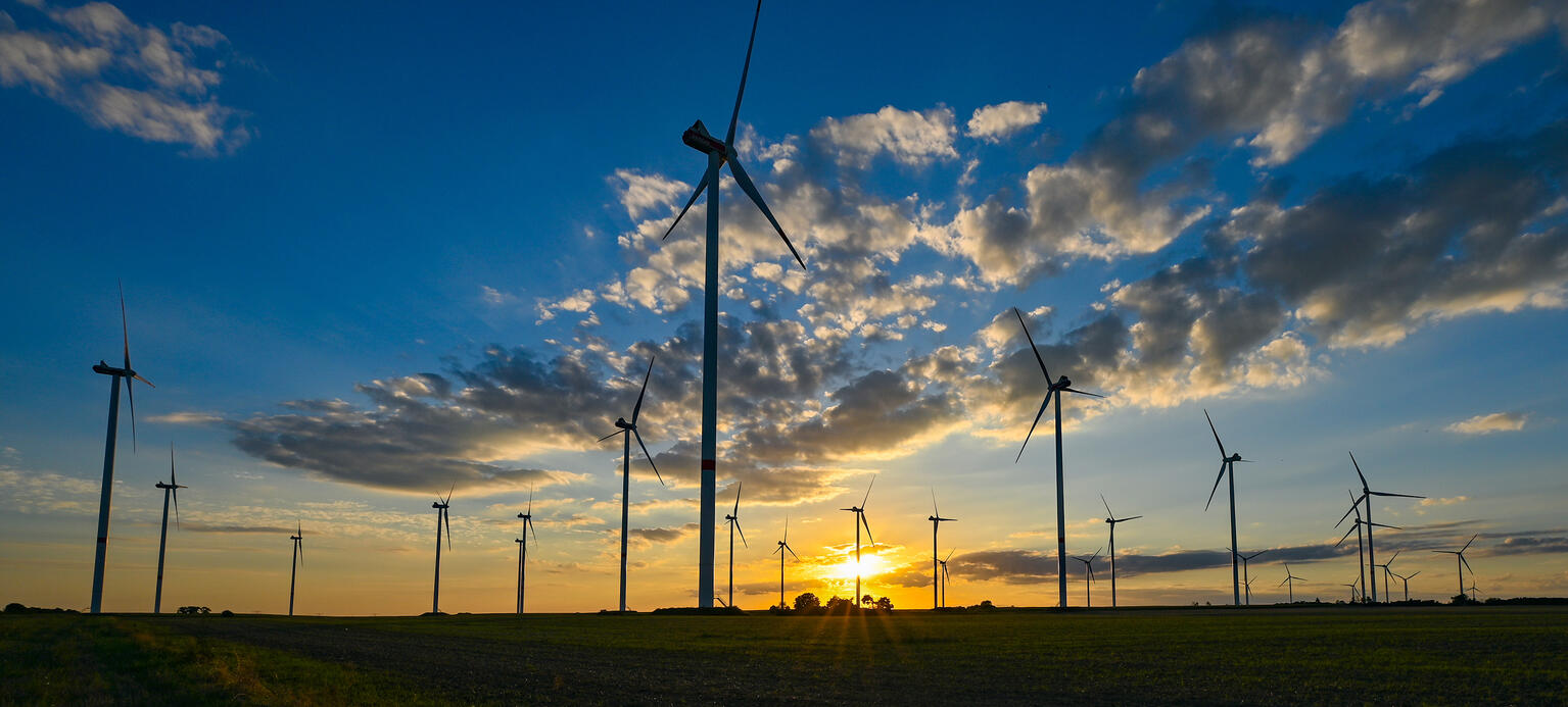 Farbenprächtig leuchtet der Sonnenuntergang über dem Windenergiepark «Odervorland» - PM Erzeugungskosten für Grünstrom
