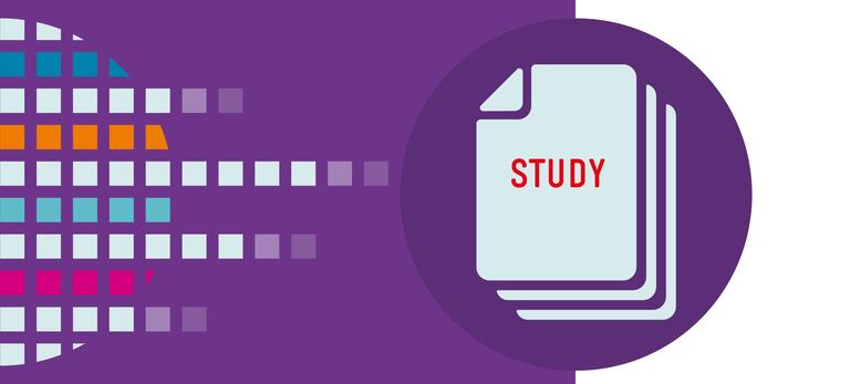 IMK Grafik zur Publikationsreihe Study